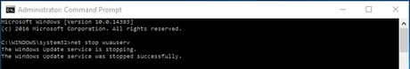 How to Disable/Pause Windows 10 Running Update How to Disable/Pause Windows 10 Running Update