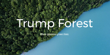 75,000 Trees Donated So Far to ‘Trump Forest’ to Offset President’s Climate Destruction 75,000 Trees Donated So Far to ‘Trump Forest’ to Offset President’s Climate Destruction