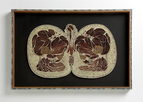 Male Pelvis - Lisa Nilsson Male Pelvis - Lisa Nilsson
