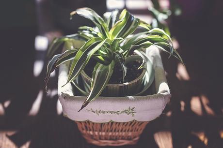 6 Affordable Ways to Personalize Your Apartment 6 Affordable Ways to Personalize Your Apartment