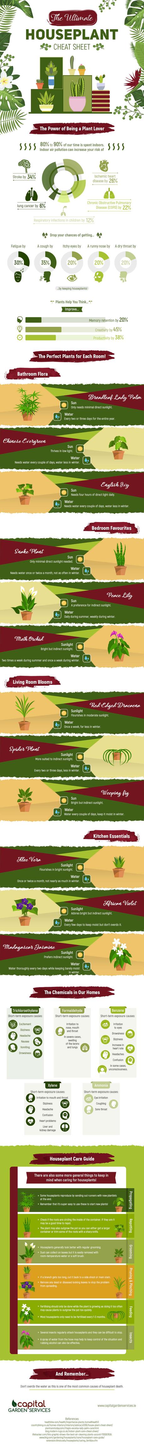Infographic – The Ultimate Houseplant Cheat Sheet