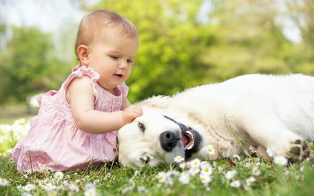 The Ways That Make your Baby and Pets Best Friend of Each Other