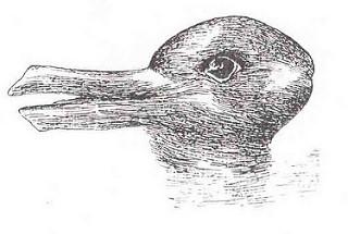 Gestalt Switch in the Emergence of Human Culture duck-rabbit