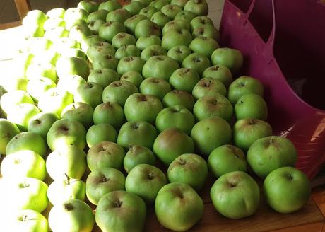 Echlinville Apple Harvest