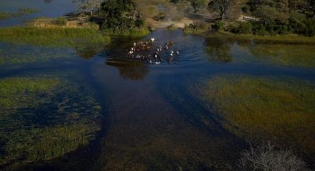 Five Enchanting Experiences for Your Custom Africa Tour Five Enchanting Experiences for Your Custom Africa Tour
