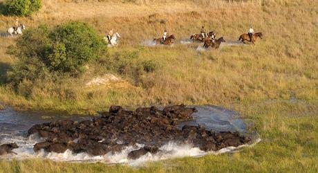 Five Enchanting Experiences for Your Custom Africa Tour Five Enchanting Experiences for Your Custom Africa Tour