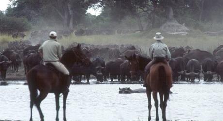 Five Enchanting Experiences for Your Custom Africa Tour Five Enchanting Experiences for Your Custom Africa Tour
