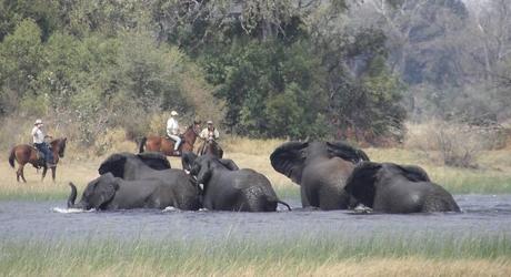 Five Enchanting Experiences for Your Custom Africa Tour Five Enchanting Experiences for Your Custom Africa Tour