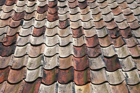 When, Why, and How to Clean Your Roof damaged roof