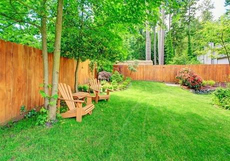 Maintain and Renovate Your Garden for Healthy Living