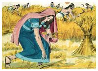Ruth - Ruth meets Boaz Gleaning