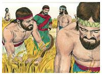 Ruth - Ruth meets Boaz Gleaning