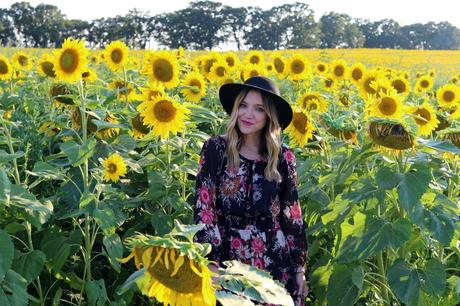 Sunflower Fields Forever photo stilettosanddiaperbags-107_zps7jyxnz3r.jpg