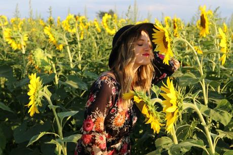 Sunflower Fields Forever photo stilettosanddiaperbags-104_zpsfa2oeuyv.jpg
