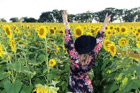 Sunflower Fields Forever photo stilettosanddiaperbags-109_zpshlghnbsl.jpg