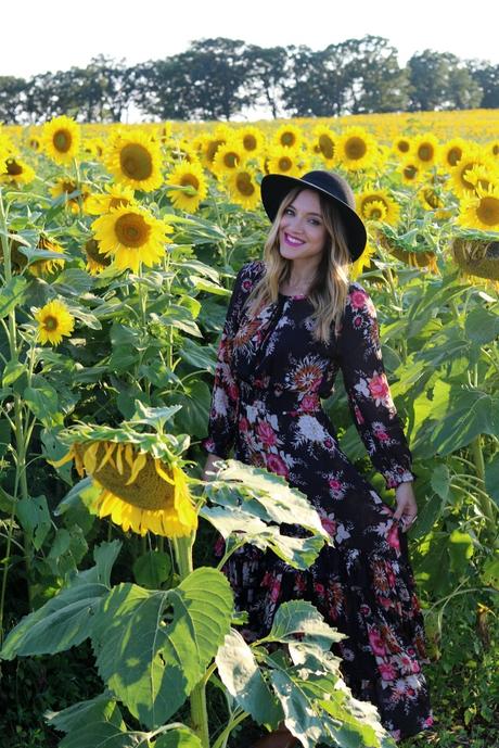 Sunflower Fields Forever photo stilettosanddiaperbags-108_zpsktiapvlv.jpg
