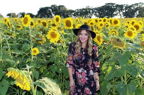 Sunflower Fields Forever photo stilettosanddiaperbags-110_zpsdjztkljv.jpg