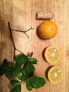 Please Help My Citrus Tree!! Please Help My Citrus Tree!!