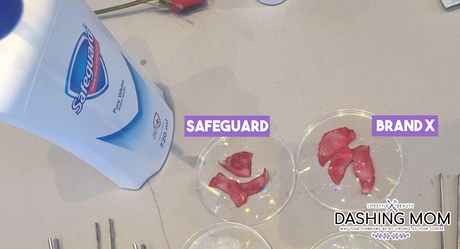 Safeguard's Science Discovery Launch