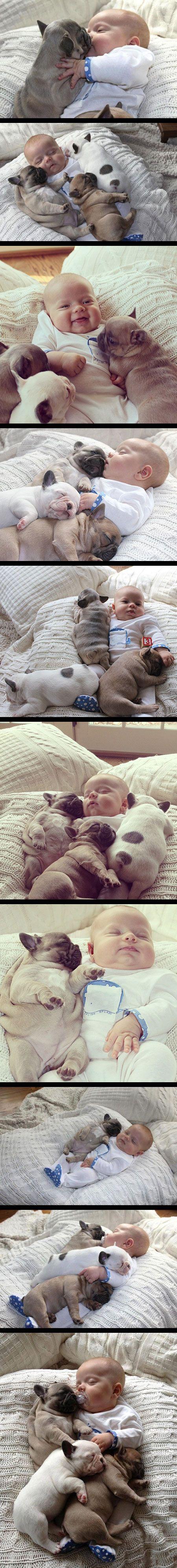 Adorable Dog and Baby Love I defy you to find a cuter image of a baby and a dog