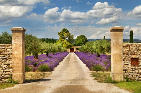 The 7 Wonders of Provence