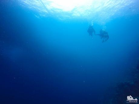 Scuba Diving in Panagsama, Moalboal