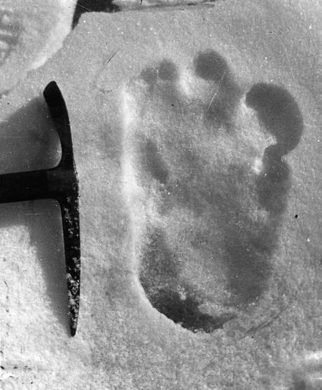 The Man Who Searched for the Yeti The Man Who Searched for the Yeti