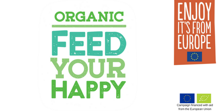Organic Porridge with Cinnamon Spiced Roast Plum feed your happy