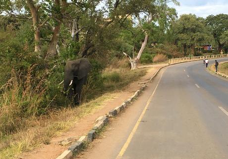 The 12th Econet Victoria Falls Marathon The 12th Econet Victoria Falls Marathon
