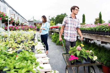 The cost of gardening in the UK The cost of gardening in the UK