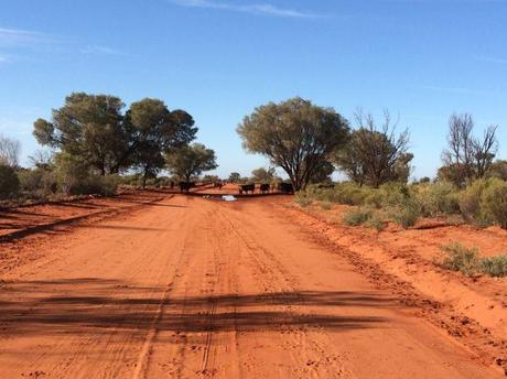 An Outback Road Trip – How to Survive An Outback Road Trip – How to Survive