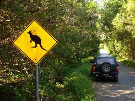 An Outback Road Trip – How to Survive An Outback Road Trip – How to Survive