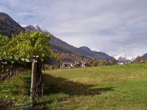 Hai mai assaggiato il vino d’alta montagna? Have you ever tried the wine from high mountain? Hai mai assaggiato il vino d’alta montagna? Have you ever tried the wine from high mountain?