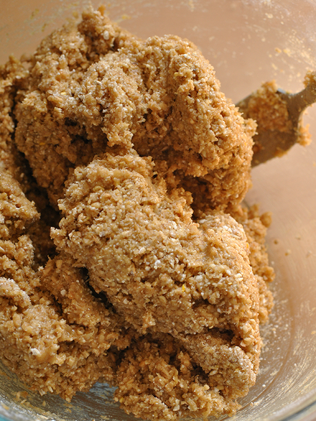 Homemade Peanut Butter Banana Dog Treats homemade dog treat ingredients