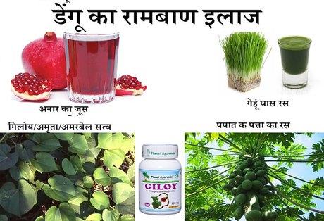 How to take care of Dengue Patients – 8 Best Home Remedies for Dengue Fever