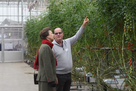 Royal visit for Hawick grown tomatoes