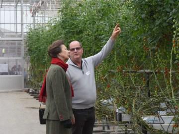 Royal visit for Hawick grown tomatoes
