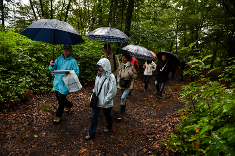 European Heritage Days: a walk in the woods courtesy of Thales