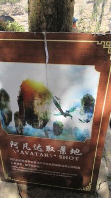 Travel Guide: Zhangjiajie National Forest Park Travel Guide: Zhangjiajie National Forest Park