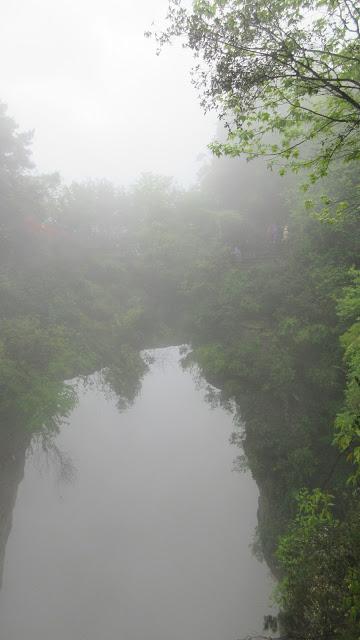 Travel Guide: Zhangjiajie National Forest Park Travel Guide: Zhangjiajie National Forest Park