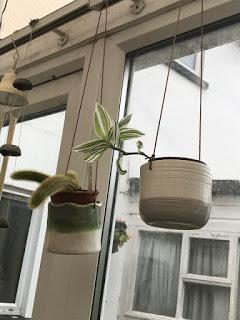 Product Review:  Burgon & Ball hanging pots