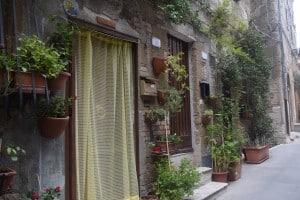 Cosa puoi mangiare a Pitigliano? What can you eat in Pitigliano?° Cosa puoi mangiare a Pitigliano? What can you eat in Pitigliano?°
