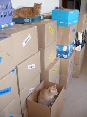20 Brilliant Ways To Organize Your Cats 20 Brilliant Ways To Organize Your Cats