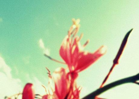 Happy Spring! Happy Spring!