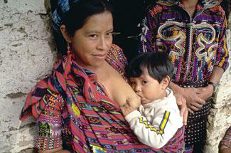 Breastfeeding Makes Sane People Crazy A toddler breastfeeds while sitting on his mother's lap.
