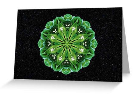True Flower Mandala Note Card True Flower Mandala Note Card