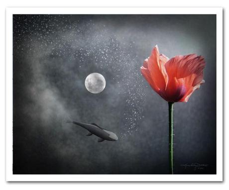 Numinous Reflection © Karen Casey-Smith Numinous Reflection © Karen Casey-Smith