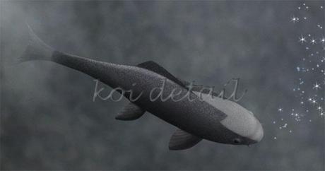 Numinous Reflection - koi detail © Karen Casey-Smith Numinous Reflection - koi detail © Karen Casey-Smith