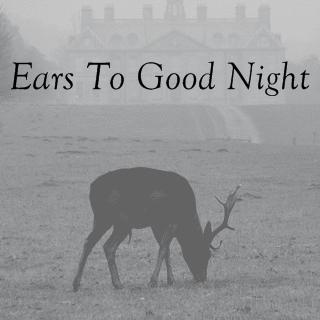 Shuffler.fm Blog Of The Day - Ears To Good Night
