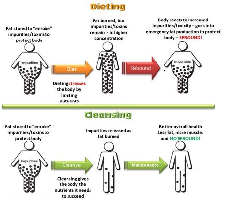 How Your Body Detoxifies Itself (Hint: It’s NOT By Taking Laxatives!)